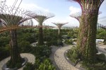 OCBC_Skyway,_Gardens_By_The_Bay,_Singapore_-_20140809 a